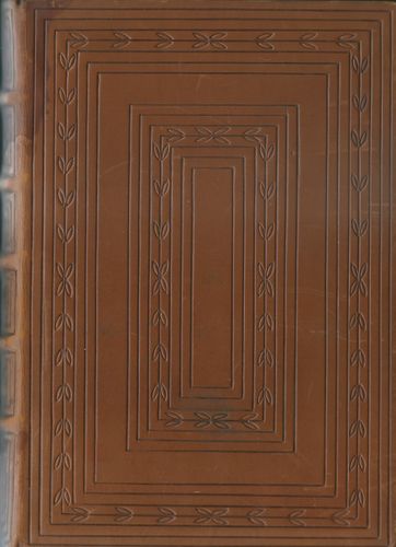 saldajuvenill JUVENILIE