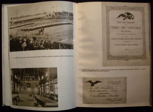 LVÍ SILOU – detail 3