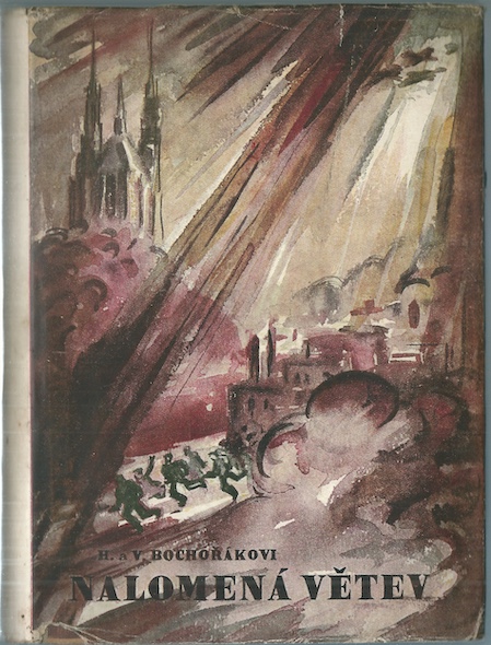 NALOMENÁ VĚTEV – detail 1