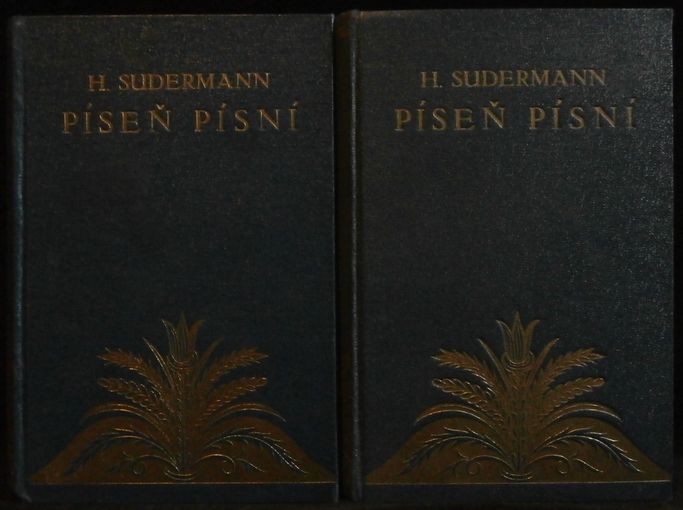 PÍSEŇ PÍSNÍ – detail 1