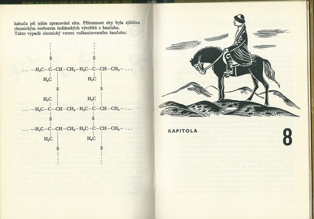 PLAČÍCÍ STROM – detail 1