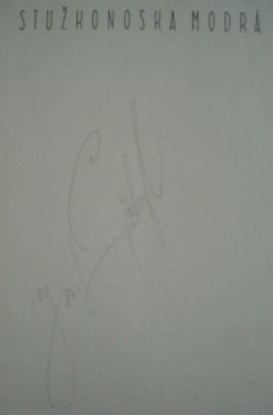 STUŽKONOSKA MODRÁ – detail 1