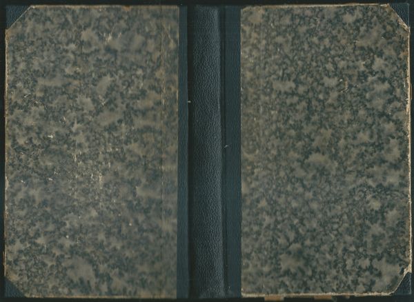 TRNITOU CESTOU KE ŠTĚSTÍ – detail 2