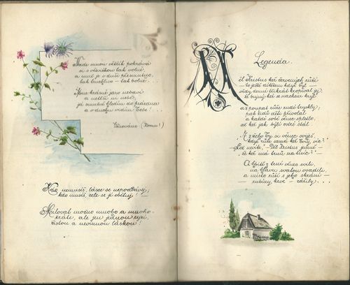 VČELKA – detail 3