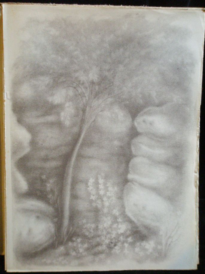 ŽIVÝ TŘPYT – detail 2