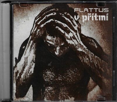 CD FLATTUS – V PŘÍTMÍ