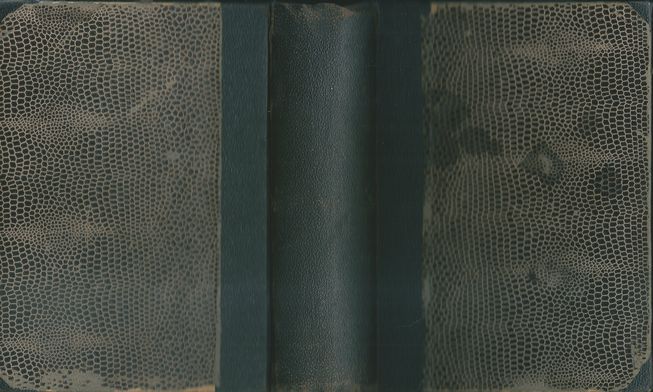 JEŘÁBY – detail 2