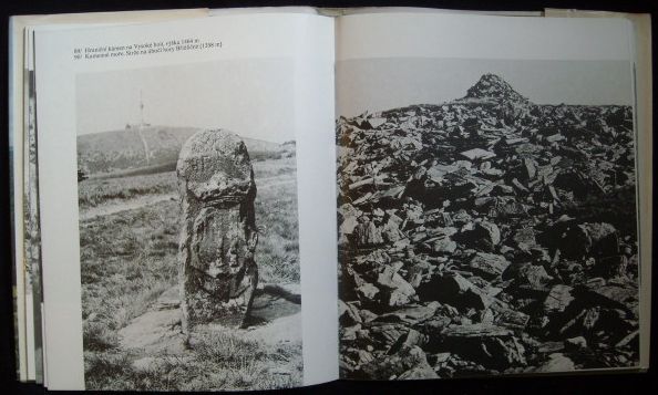 JESENÍKY – detail 1