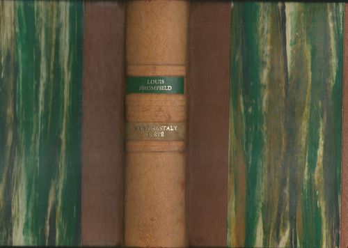 KDYŽ NASTALY DEŠTĚ – Louis Bromfield