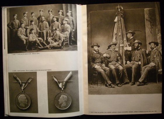 LVÍ SILOU – detail 2