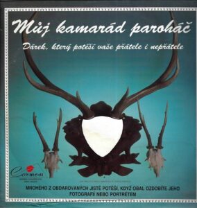 MŮJ KAMARÁD PAROHÁČ (LP)