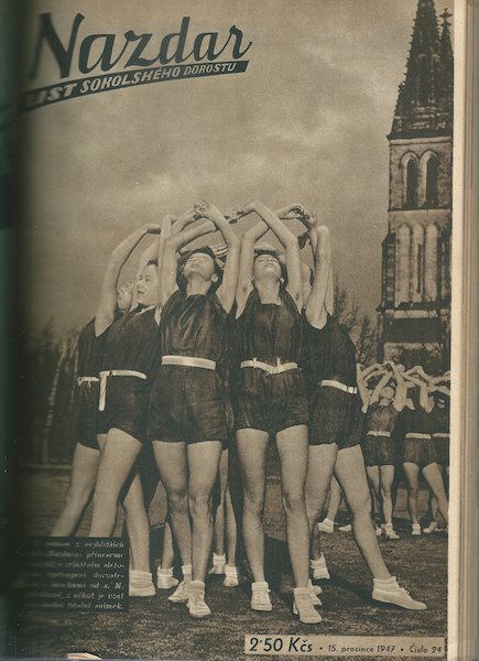 NAZDAR, LIST DOROSTU ČOS – detail 2