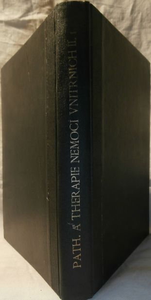 PATHOLOGIE A THERAPIE NEMOCÍ VNITŘNÍCH – detail 1