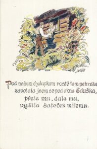 POD NAŠUM CHALUPKUM ROSTĚ PETRUŠKA pohlednice