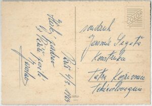 ŠIMPANZ V ZAHRADNÍKÁCH pohlednice