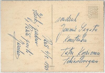 ŠIMPANZ V ZAHRADNÍKÁCH pohlednice