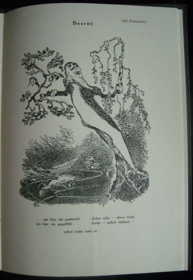 SLEZSKÝ LETÁČEK – detail 1