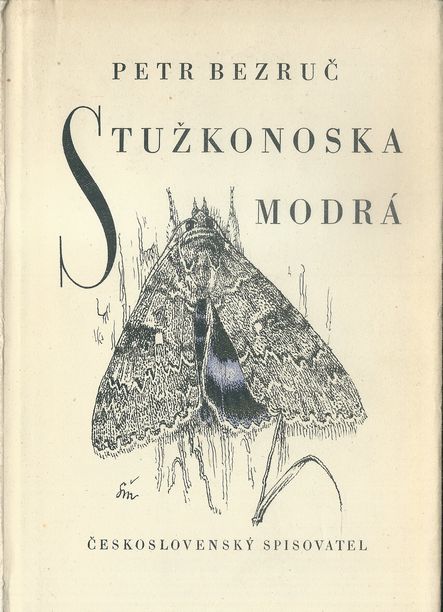 STUŽKONOSKA MODRÁ – detail 1
