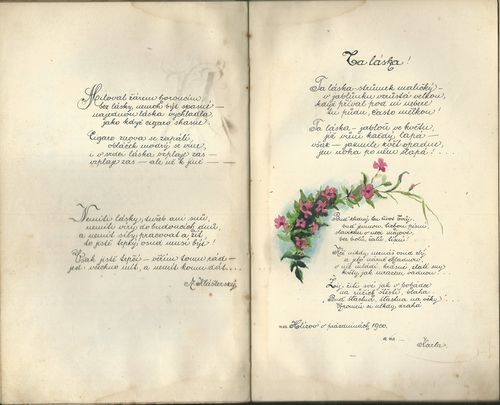 VČELKA – detail 2