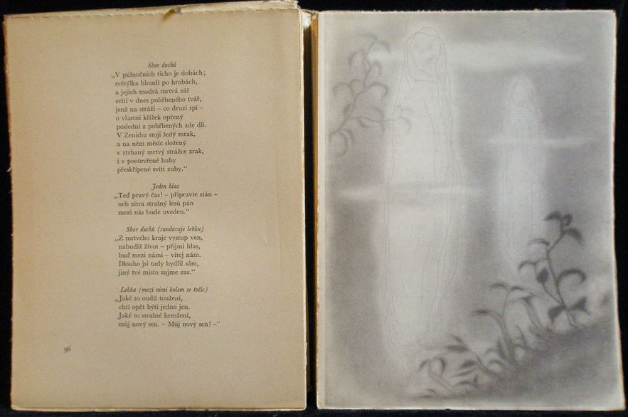 ŽIVÝ TŘPYT – detail 3