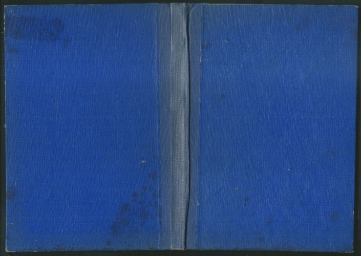 ZTRACENÝ DOMOV – detail 2