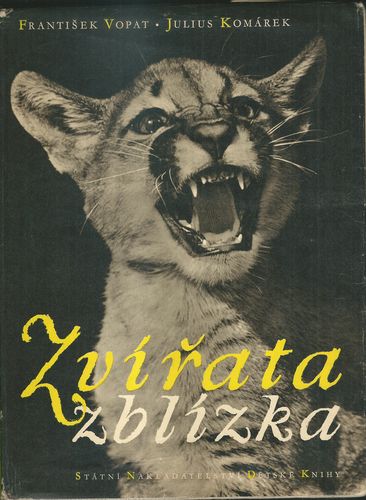 zvirtazblzk_1 ZVÍŘATA ZBLÍZKA