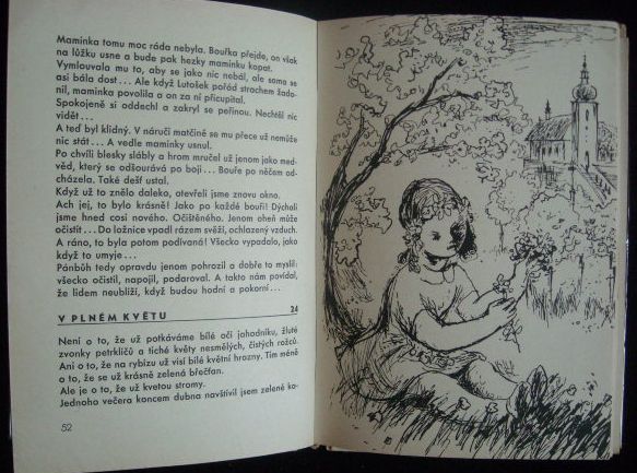 BÍLÝ POUTNÍK – detail 2