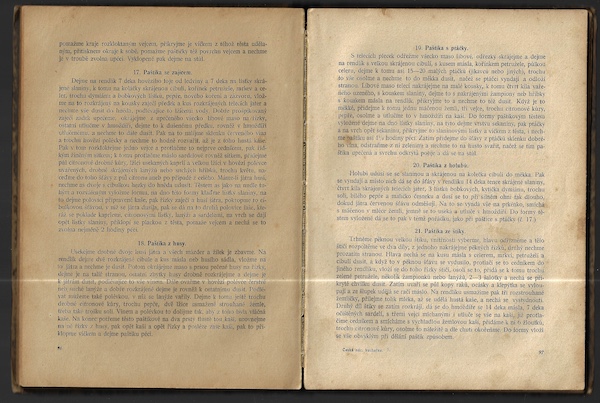 ČESKÁ NÁRODNÍ KUCHAŘKA – detail 1