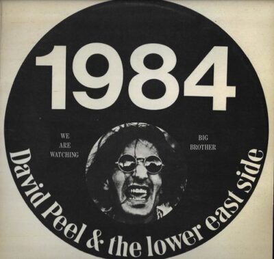 DAVID PEEL & THE LOWER EAST SIDE – 1984 LP deska