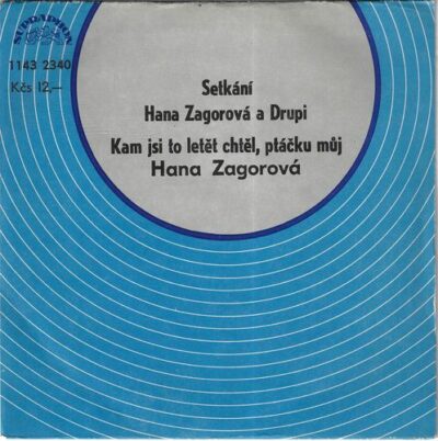 HANA ZAGOROVÁ – SETKÁNÍ / KAM JSI TO LETĚT CHTĚL, PTÁČKU MŮJ SP deska