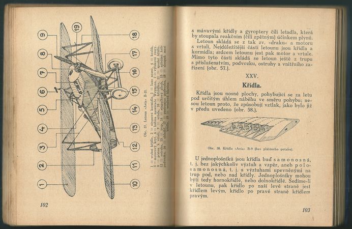 LETOUNY – detail 2