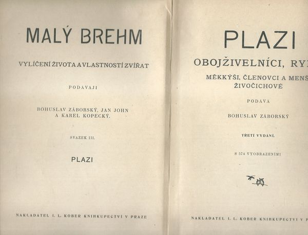 MALÝ BREHM: PLAZI, OBOJŽIVELNÍCI, RYBY, MĚKKÝŠI, ČLENOVCI A MENŠÍ ŽIVOČICHOVÉ – detail 2