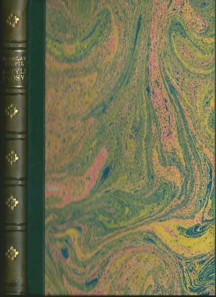 MOTÝLI A VOSY – detail 2