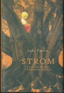 STROM – Judy Pascoe