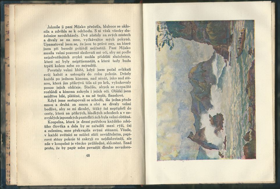 ÚSMĚV NAD HROBEM – detail 1