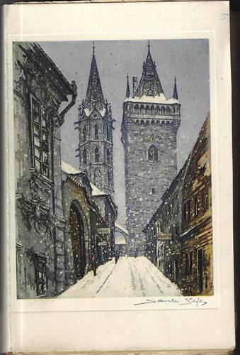 Z AMERICKÝCH TOULEK – detail 1