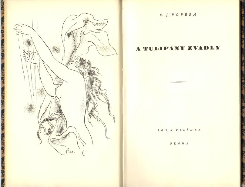 A TULIPÁNY ZVADLY – detail 1