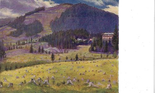 JAN MINAŘÍK – ŠPIČÁK A HOTEL RIXY – detail 1