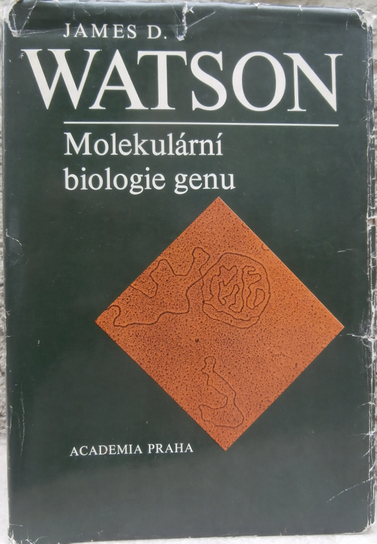 molegen MOLEKULÁRNÍ BIOLOGIE GENU – James D. Watson