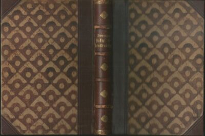 NOČNÍ DOBRODRUŽSTVÍ / NEHODY JOHNA NICHOLSONA – Robert Louis Stevenson