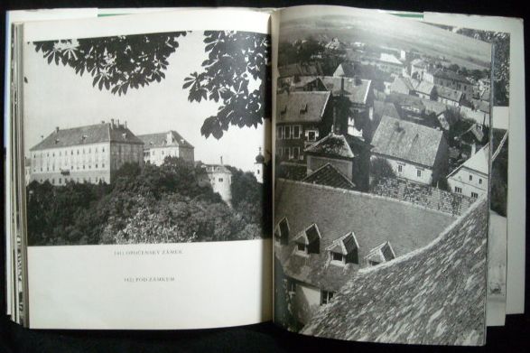 ORLICKÉ HORY – detail 3