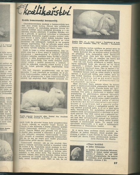 RÁDCE Z PŘEDMOSTÍ 1938 – detail 1