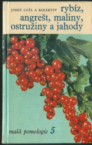 rybang RYBÍZ, ANGREŠT, MALINY, OSTRUŽINY A JAHODY