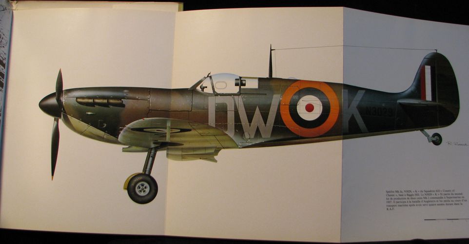 SPITFIRES AND YELLOW TAIL MUSTANGS – detail 1