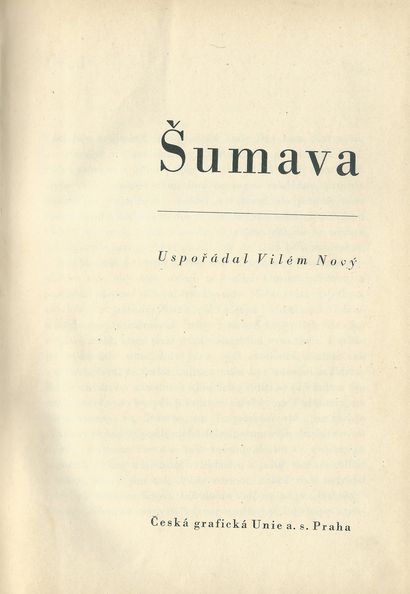 ŠUMAVA – detail 1