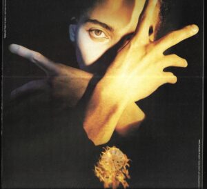 TERENCE TRENT D`ARBY`S NEITHER FISH NOR FLESH (LP)