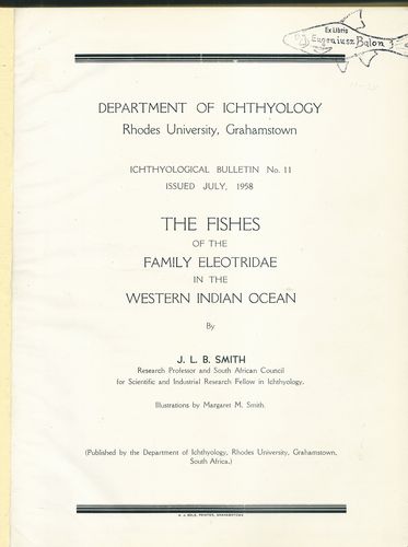 THE FISHES OF THE FAMILY ELEOTRIDAE IN THE WESTERN INDIAN OCEAN – detail 1