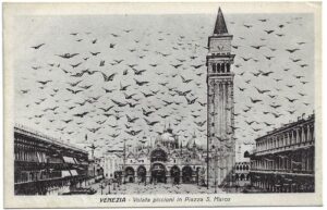 VENEZIA – VOLATA PICCIONI IN PIAZZA S. MARCO pohlednice
