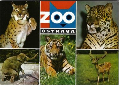 ZOO OSTRAVA pohlednice