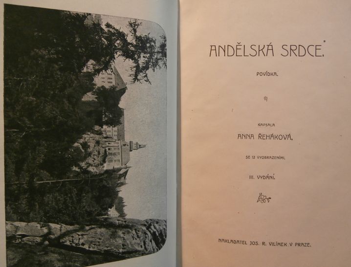 ANDĚLSKÁ SRDCE – detail 1